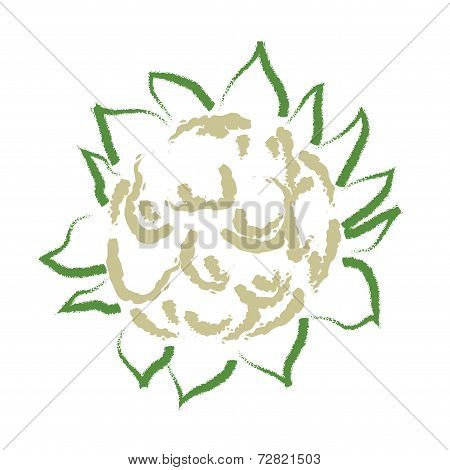 Hand Drawing Cauliflower
