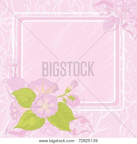 Background with flowers Ipomoea
