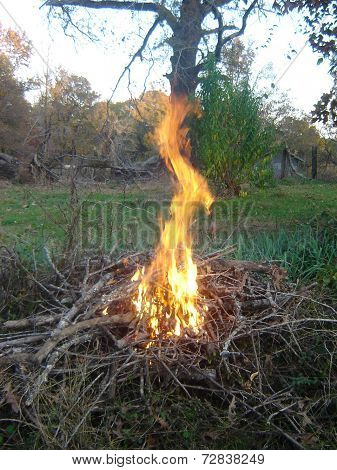 Bonfire