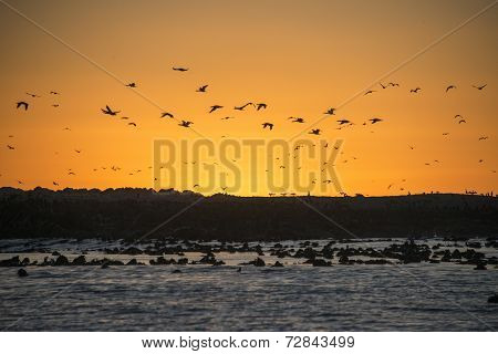 Sunset On Dyer Island