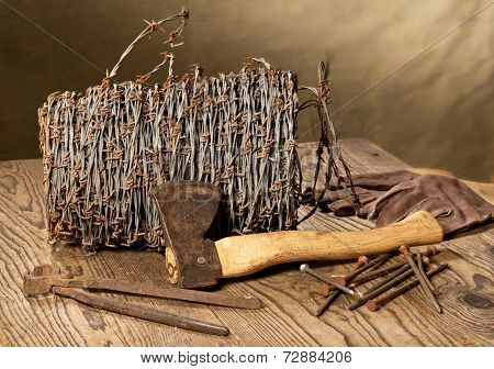 Still Life With Barbed Wire