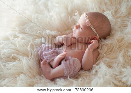 Alert Newborn Baby Girl