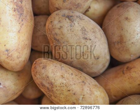 Potato Vegetable