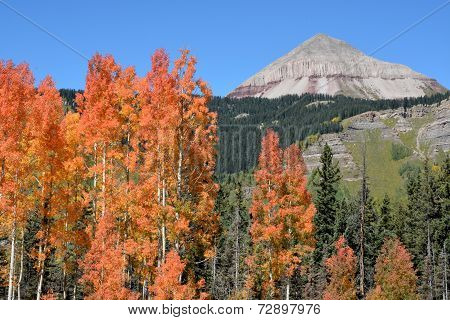 Engineer Mountain and Aspen
