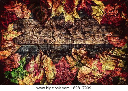 Frame Of Autumn Leaves On Wood Grunge Layer