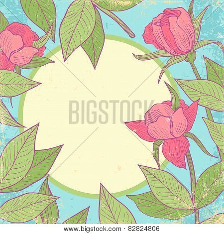 Pink Flowers