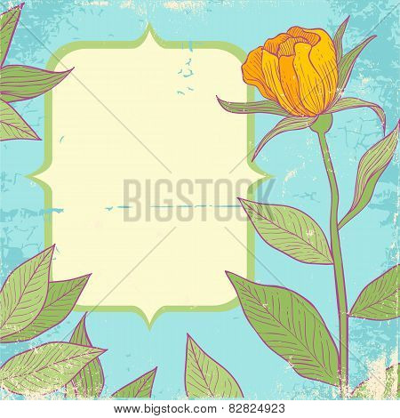 Yellow Flower