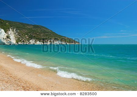 ビーチと海岸の風景