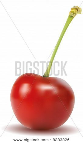 Rosso ciliegia