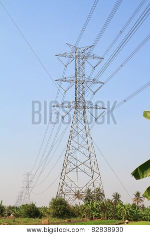 Large power pole over vegetable garden