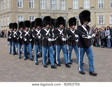 Denish Royal Guards