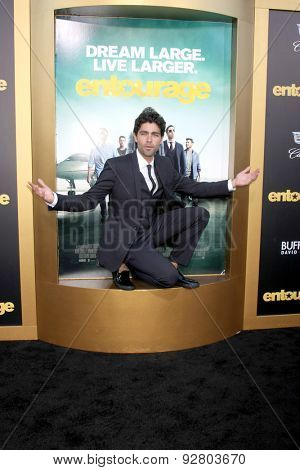 LOS ANGELES - MAY 27:  Adrian Grenier at the 