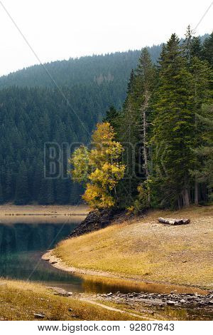 Lake Of The Woods