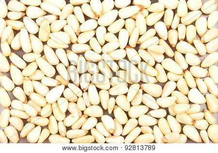 Pine Nuts Background