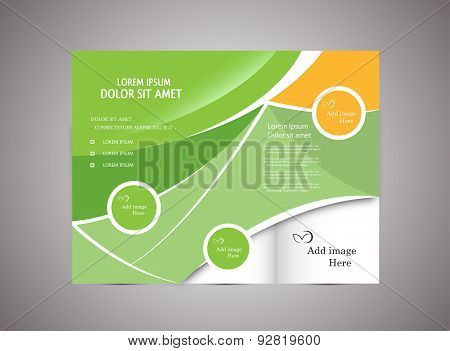 Brochure in Tri Fold