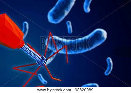 Bacteriophage Attacking Bacteria