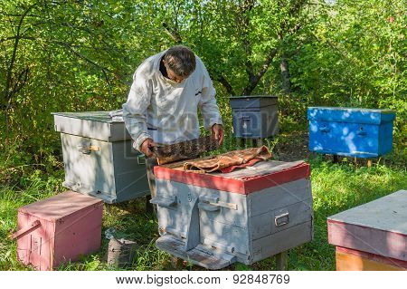 Ukrainian bee-keeper at work