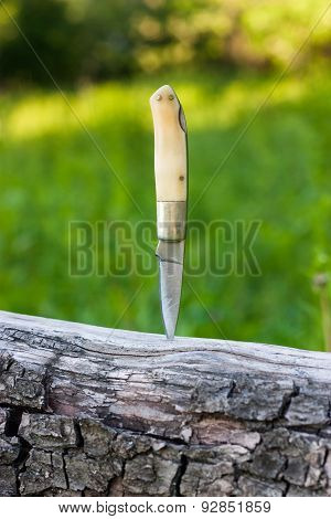 Knife Stuck Into A Tree In Forest