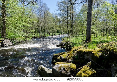 Kungsbacka River