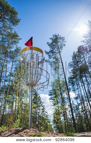 Disc Golf Hole On The Top Of The Hill In The Woods