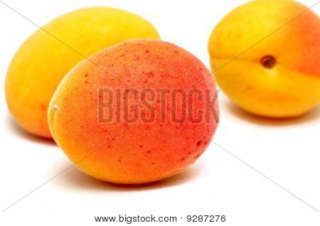 Albicocche