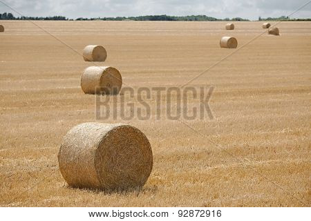 Dry rural field with hay stacks