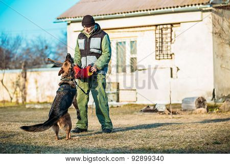 German Shepherd Dog training