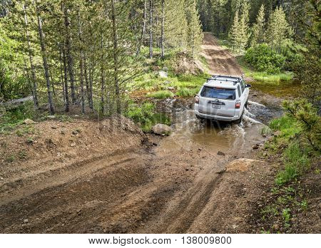 RED FEATHER LAKES, CO, USA - JUNE 3, 2016: New Toyota 4Runner SUV (2016 Trail edition) crossing a mountain stream - Sand Creek Road in Colorado's Rocky Mountains