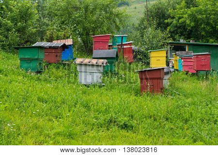 Apiary with colorful houses gardening production of honey bees.