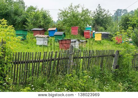 Apiary with colorful houses gardening production of honey bees.
