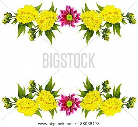 Bouquet of flowers dahlias. Flowers isolated on white background.