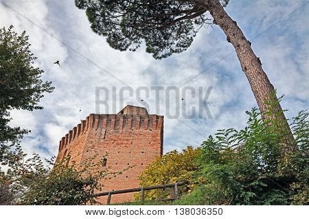 Oriolo dei Fichi, Faenza, Emilia Romagna, Italy: medieval tower surrounded by pine trees and bushes in the ancient village
