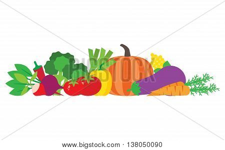 Set of fresh vegetables. Modern flat design. Vector illustration.