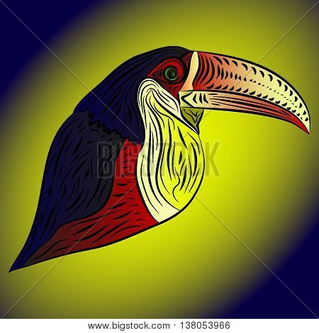 Abstract toucan. A bird with a large beak without a tail in color