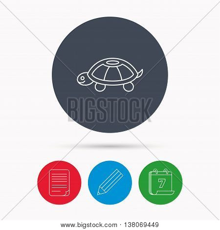 Turtle icon. Tortoise sign. Tortoiseshell symbol. Calendar, pencil or edit and document file signs. Vector