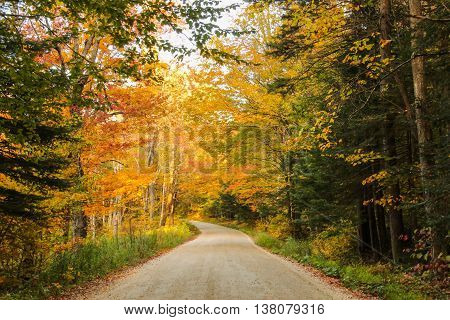 Rural dirt road in the Green Mountains of Vermont during fall foliage.