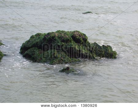 Mer