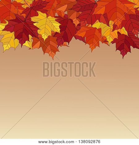 Frame from vivid colorful autumn leaves, natural seasonal background. Autumn vector banner.