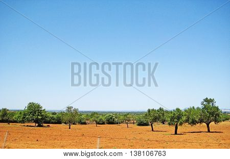 Hinterlands Of Majorca, Balearic Islands