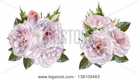Set. Bouquet of flowers. Rosa pastel pink old style. Flower composition. Isolated on white background.