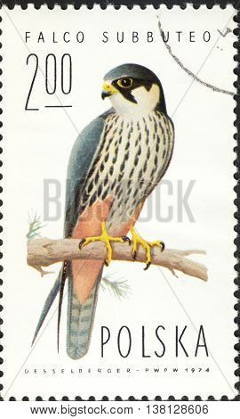 MOSCOW RUSSIA - DECEMBER 2015: a post stamp printed in POLAND shows a bird with the inscription 