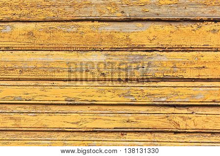 Grunge wood wall with cracks and peeling paint in old house. Yellow textured background.