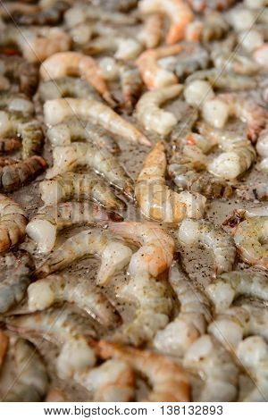 Cropped image of fresh royal shrimps shyallow focus