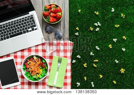 Picnic Setting With Laptop