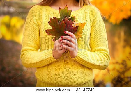 Young beautiful girl standing in the autumn park and holding bright yellow and orange leaves. Bright autumn