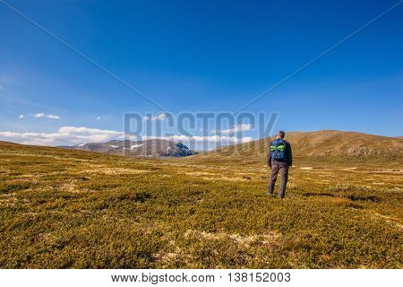 hiker with backpack traveling in Norway mountains Dovrefjell