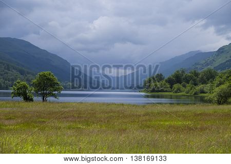 Scottish wildflower meadow with Loch Voil and soft greens and blues of scenic hills and glens in the background.