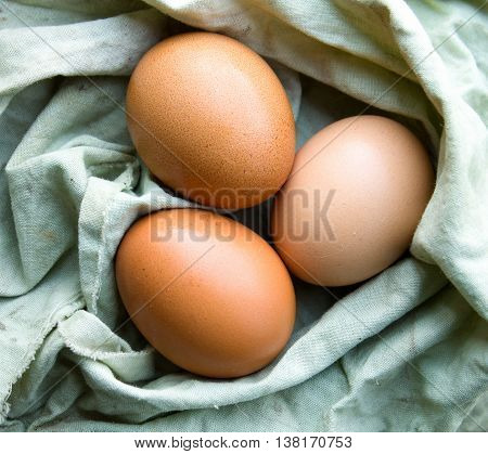 the brown eggs wrapped in a rag