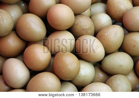 Pheasant eggs in different shades grouped in basket close-up detail