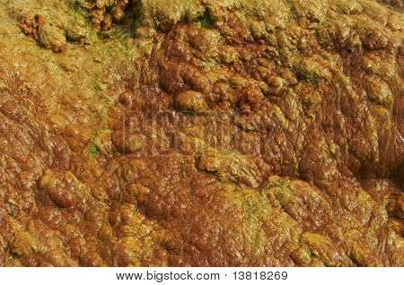 Sorgente idrotermale sulla Kamchatka